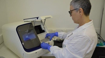 Laboratório brasileiro realiza sequenciamento genético do vírus da gripe aviária