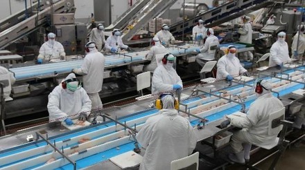 Arábia Saudita notifica OMC sobre redução do prazo de validade de carne de frango congelada importada