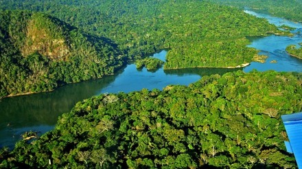 Consumo de madeira da Amazônia - por Ricardo Ernesto