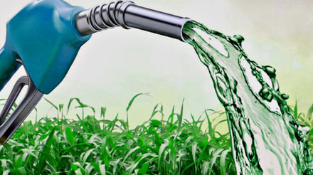 Novas culturas impulsionam a diversificação da produção de biocombustíveis no Brasil