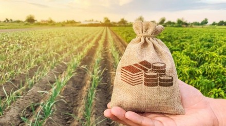 MAPA busca aumento de recursos para subsidiar juros no setor agrícola