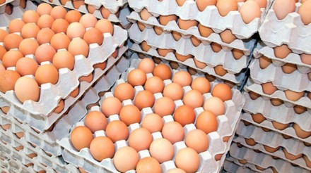 Preços dos ovos recuam com baixa demanda