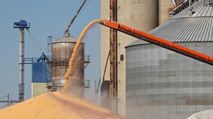 Conab contrata frete em leilão para remover 35,85 mil toneladas de milho