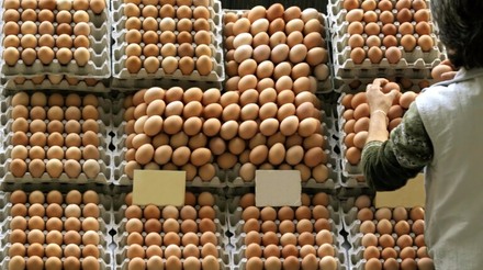 Preço dos ovos começa a cair novamente nos EUA