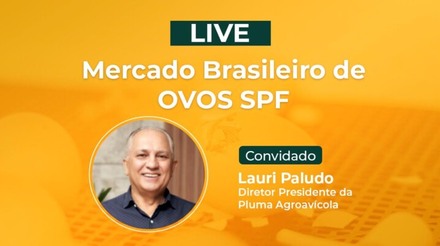 É HOJE: Na TV Gessulli, diretor presidente da Pluma Agroavícola debate o mercado brasileiro de ovos férteis