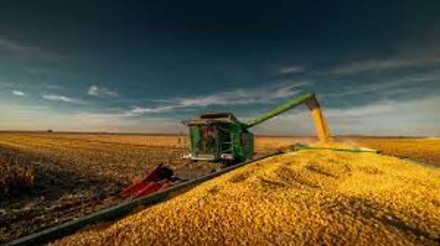 Exportações de milho alcançam recorde de 4 milhões de toneladas em julho