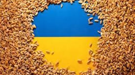 Tensões entre Ucrânia e Polônia sobre circulação de grãos Preocupam a UE