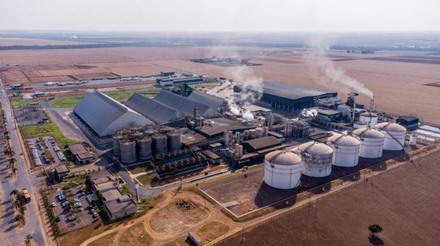 Produção de biomassa deve crescer em MT com avanço industrial