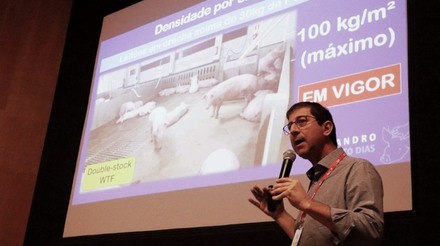Cleandro Dias aborda impactos da IN 113/2020 na produção nacional suinícola