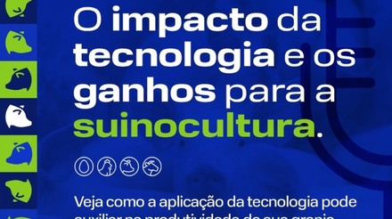 InoBram promove nesta segunda-feira live sobre o impacto da tecnologia na suinocultura