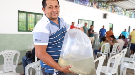 Piscicultores de municípios do interior do AM recebem 93 mil alevinos de tambaqui