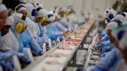 Suspensão temporária da tarifa de importação pelo Egito beneficia exportação de carne de frango