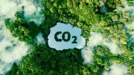 Senado regulamenta Mercado de Carbono no Brasil após acordo com o setor agrícola
