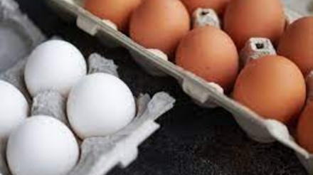 Composição da cesta básica de alimentos inclui os ovos como item essencial