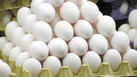 Oferta se ajusta à demanda e sustenta cotações de ovos no mercado