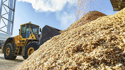 O papel da biomassa e dos resíduos agropecuários na transformação do setor energético
