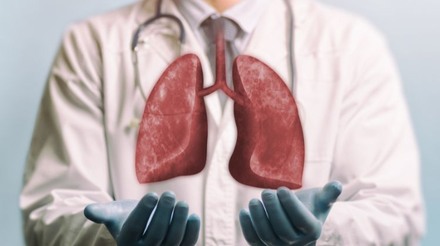 Estudo utiliza sangue de porco como alternativa para aprimorar transplantes de pulmão