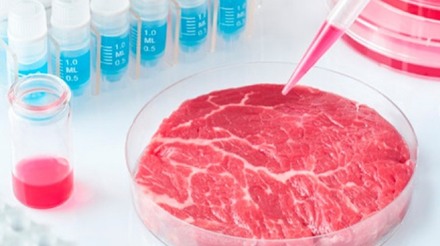 UFSC lidera iniciativa pioneira na pesquisa de carne cultivada