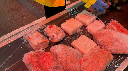 Reino Unido enfrenta riscos de Peste Suína Africana devido à importação ilegal de carne suína