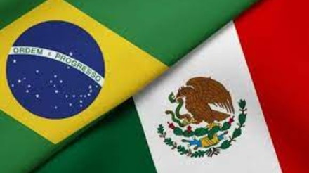 Brasil e México estudam plano regional para enfrentar gripe aviária e manter o comércio