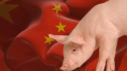 China registra maior produção de carne suína em pelo menos uma década no terceiro trimestre