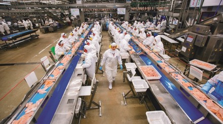 Rússia amplia lista de frigoríficos brasileiros habilitados para exportar carnes