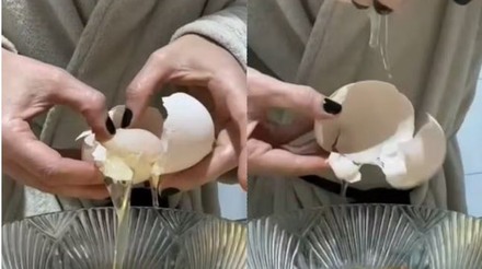 Galinha põe ovo 'gigante' com outro inteiro dentro; veja o vídeo