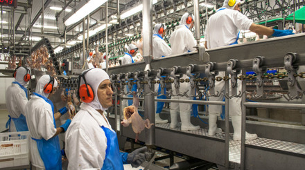 ABPA comemora habilitação de novas unidades frigoríficas de carne de frango para exportar para a China