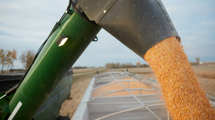 Colheita da safra de soja 2023/24 atinge 73% da área no Paraná, enquanto a de milho alcança 82%, segundo DERAL