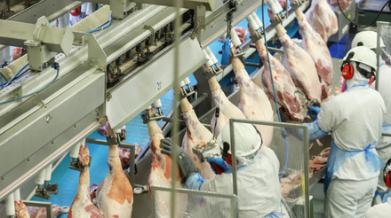 Paraná lidera produção de carne suína para mercado interno, revela Deral