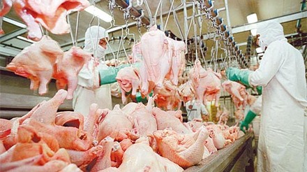Exportações de carne de frango crescem 10,5% em abril, informa ABPA