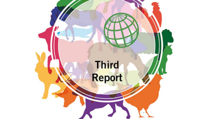Relatório da OIE mostra progresso positivo na regulação e monitoramento do uso de antimicrobianos