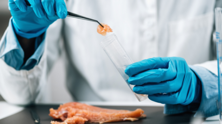Da bancada ao prato: mudanças na rotulagem nos EUA para carne de laboratório