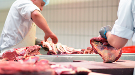 Preços caem e brasileiros comem mais carne de frango em 2023