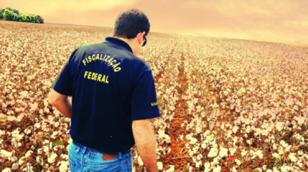 Anffa informa: mais de 300 auditores agropecuários entregam seus cargos