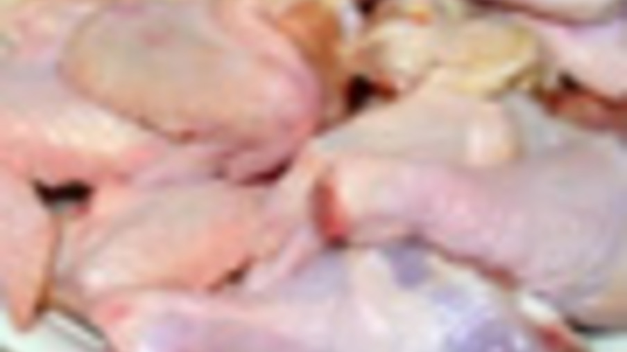 Campylobacter e salmonela em frangos