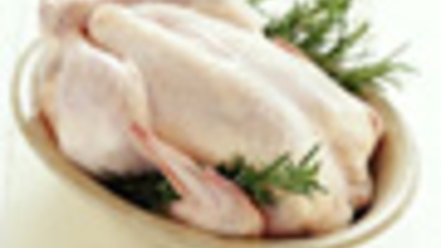 Processamento de carne de frango reduz bactérias