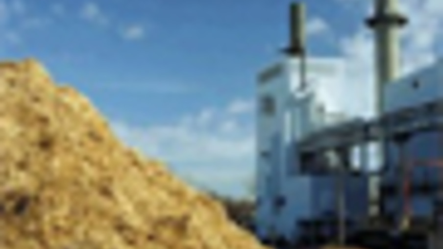 Biomassa a R$ 95/MWh