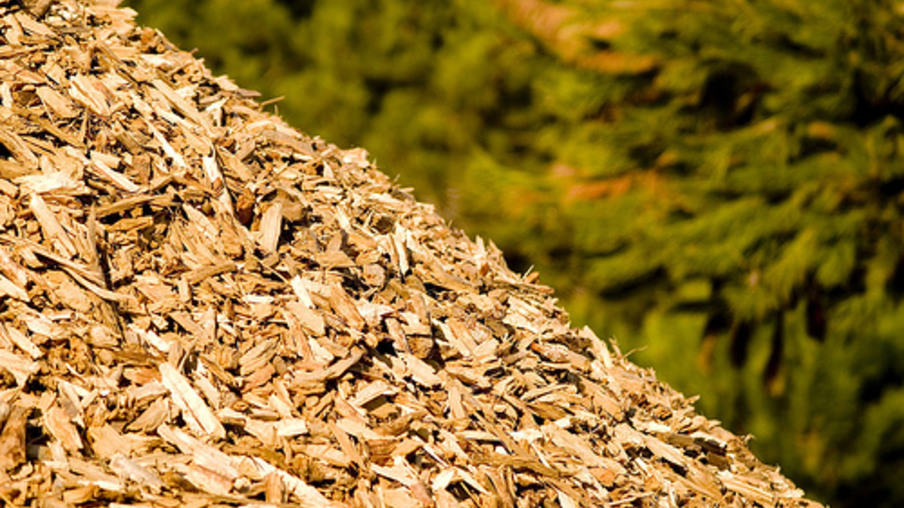 Uso de biomassa florestal para produção de energia é destaque do I Seminário Biomassa & Bioenergia