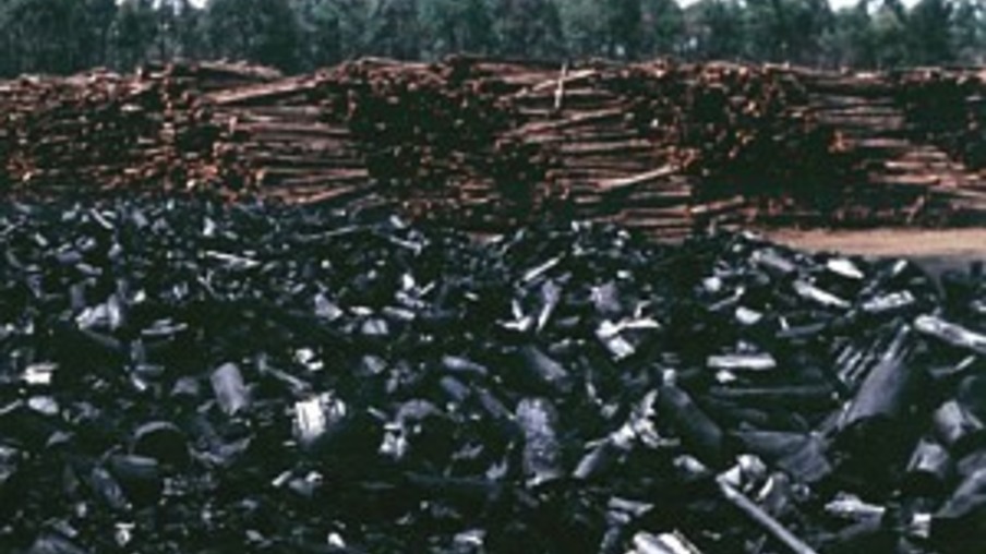 Consumo de carvão vegetal de origem nativa cai 61% em Minas Gerais