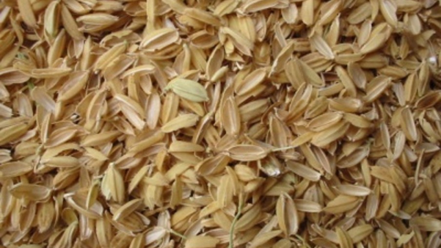 Casca de arroz: Uma alternativa para geração limpa