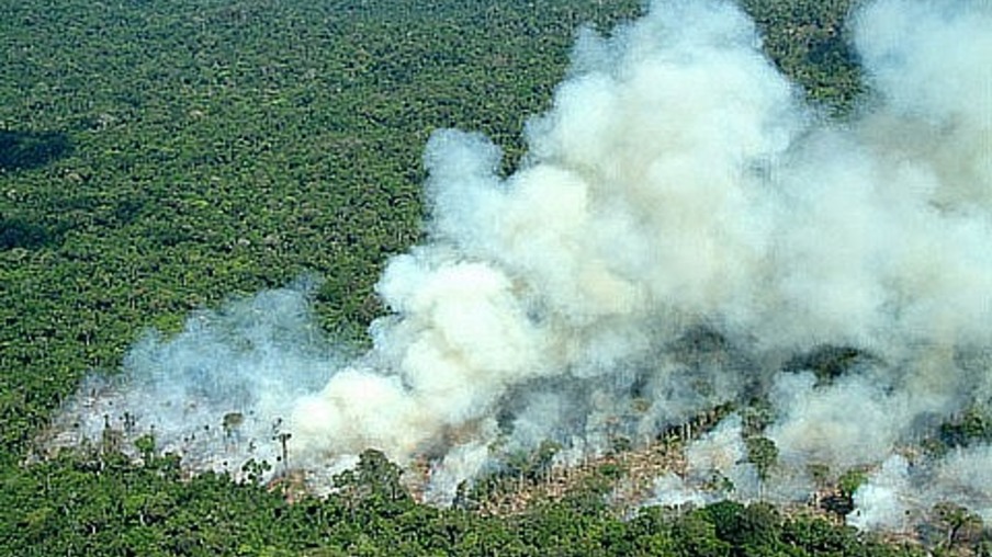 Pesquisa estuda emissões de queimadas na Amazônia