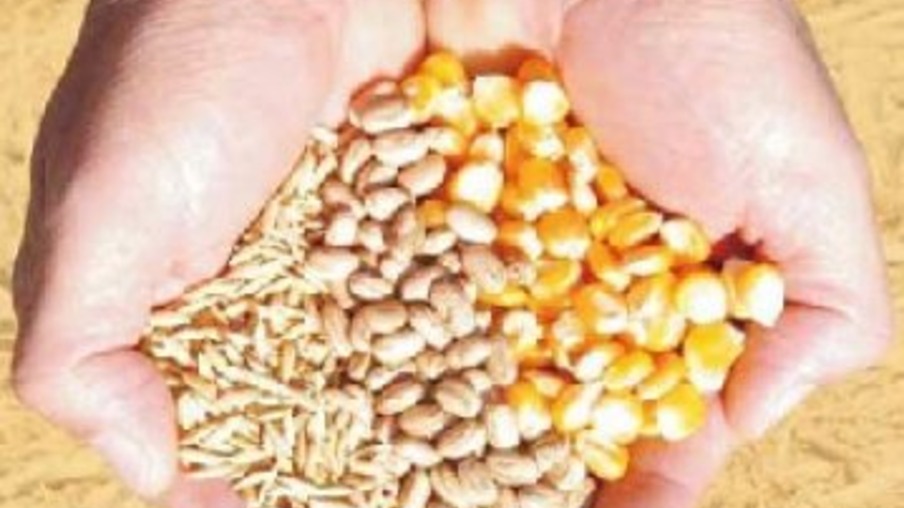 Produção brasileira de grãos deve chegar a 210,3 milhões de toneladas