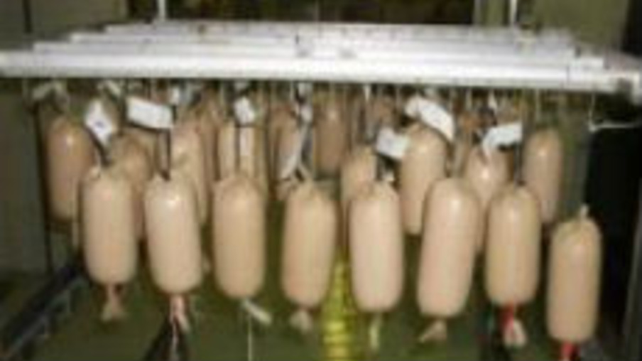 Produção de embutidos e defumados suínos valoriza matéria-prima em até 50%