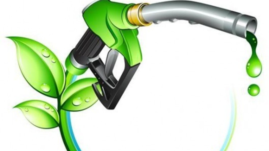 Critérios socioambientais podem nortear produção de biocombustíveis