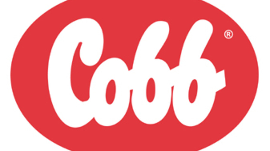 Cobb anuncia novas contratações para sua equipe