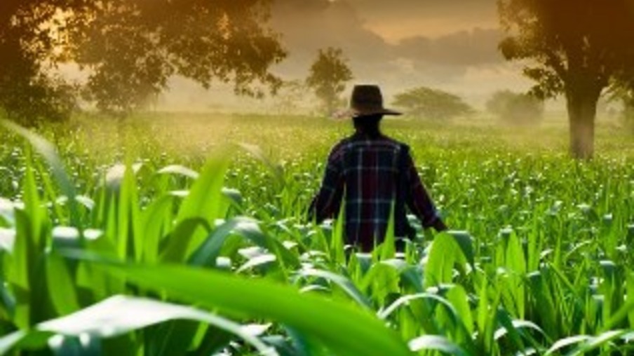 Secretário de Agricultura ressalta o protagonismo do agronegócio paulista