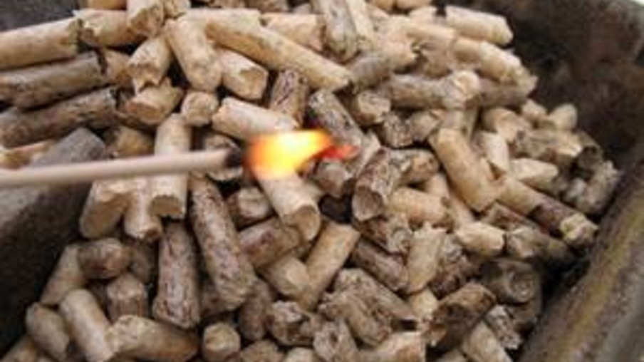 Os resíduos de madeira gerados anualmente no Brasil são estimados em 30 milhões de toneladas