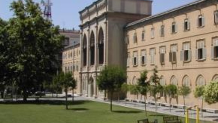 Universidade espanhola oferece bolsa de estudo para mestrado em Produção de Suínos