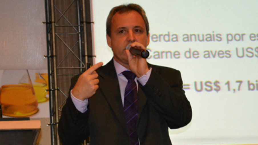 AveSui 2013: Marcos Vale